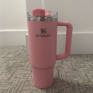 Sizzling Pink Stanley